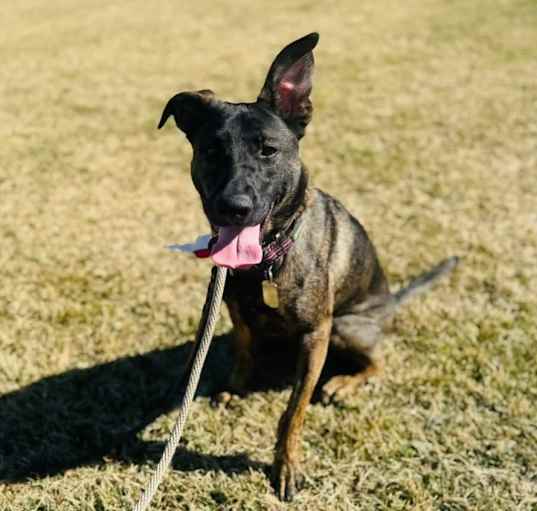 Photo of Bella