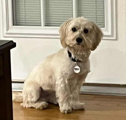Photo of Max