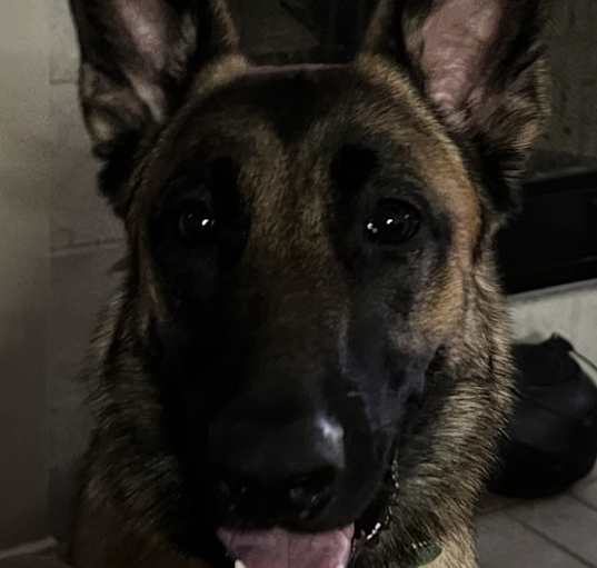 Photo of Sage