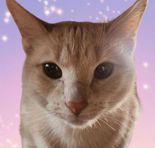 Photo of Molly 