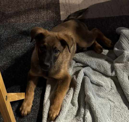 Photo of Nigel