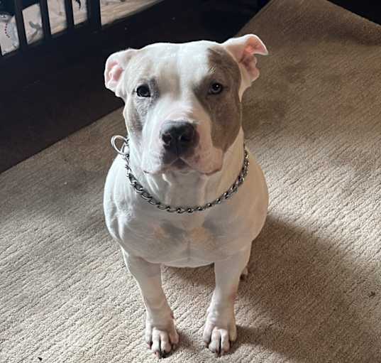 Photo of Babygirl