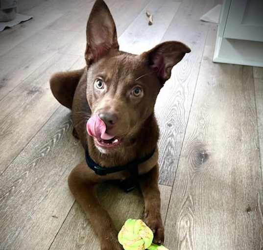 Photo of Jayden
