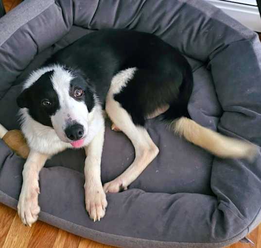 Photo of Maeby