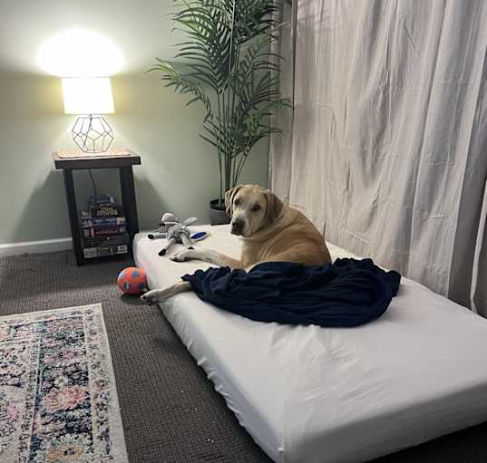 Photo of Ruby