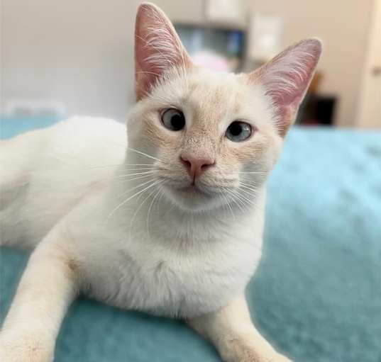 Photo of Theia