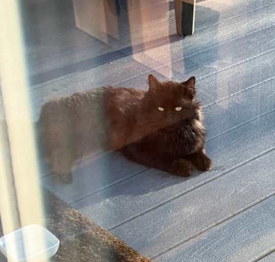 Photo of Floof