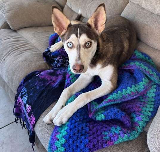 Photo of MOANA
