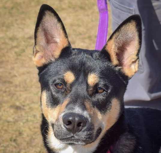 Photo of Kody