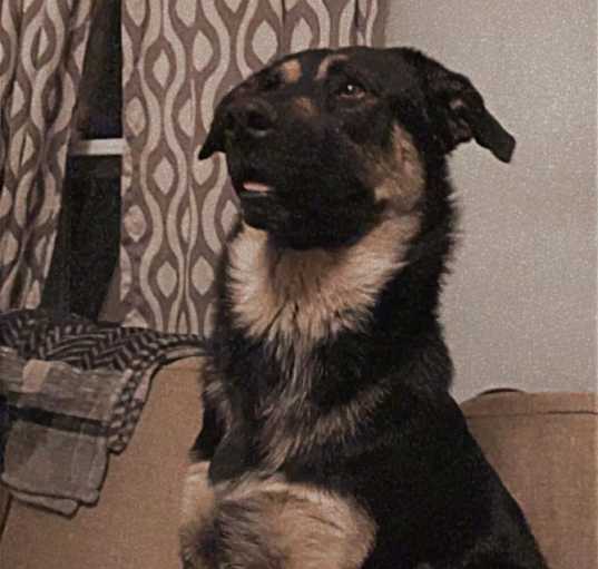 Photo of Oakley