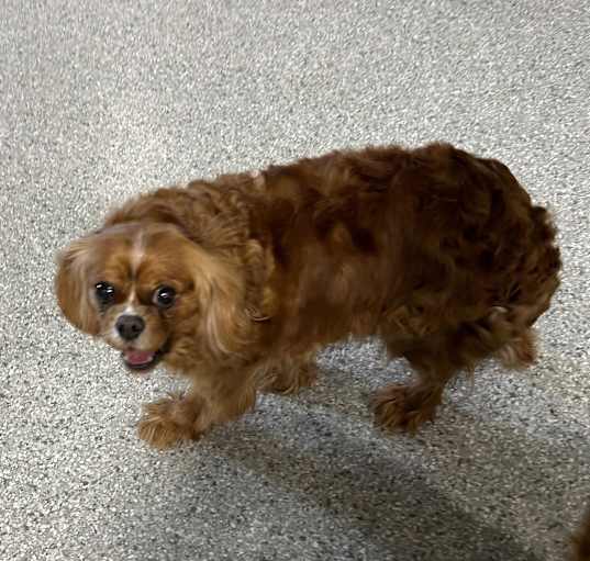 Photo of Friendly Annie