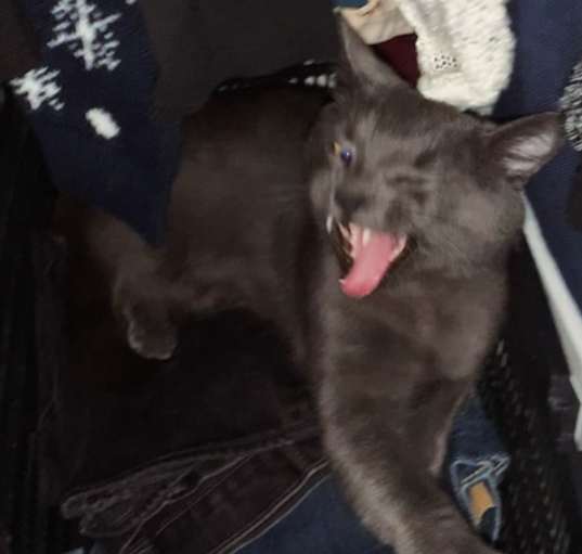 Photo of Tiny