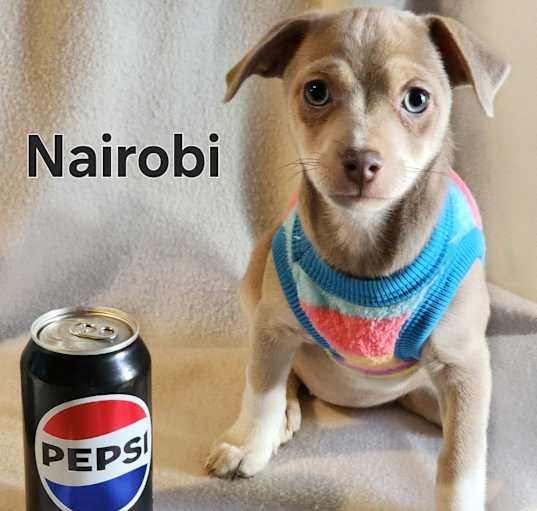 Photo of Nairobi