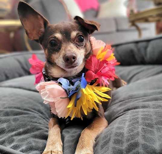 Photo of Chloe