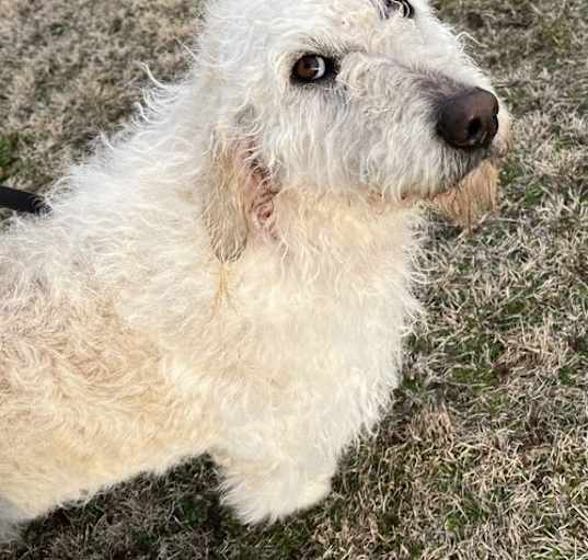 Photo of Charlie