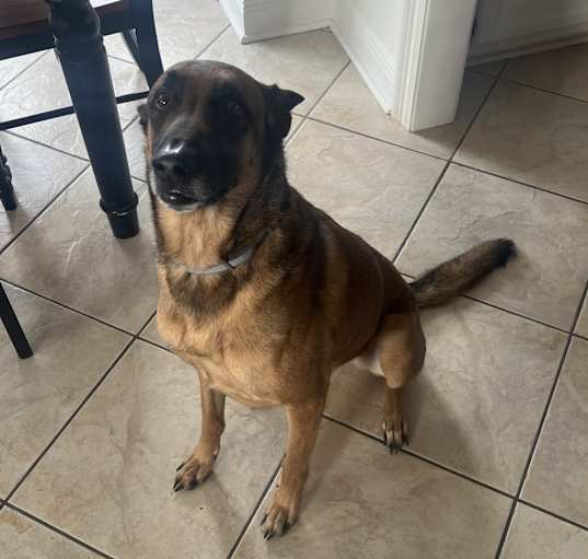 Photo of Blu
