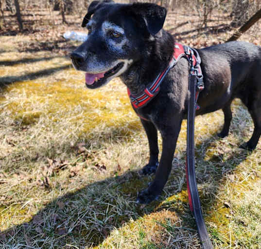 Photo of Annie
