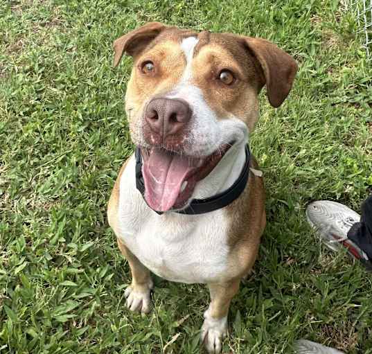Photo of Cash