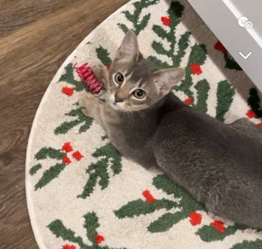 Photo of Fiona