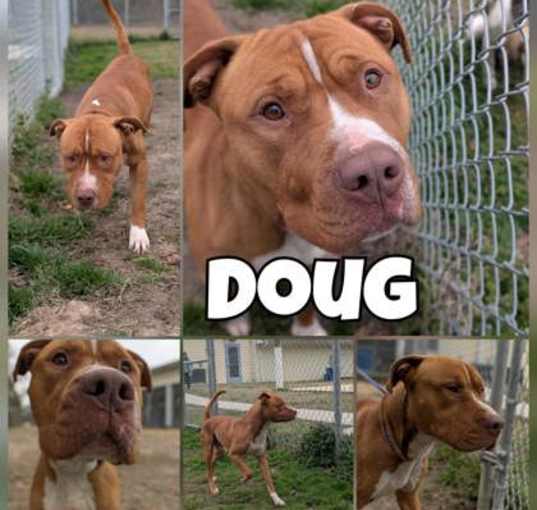 Photo of Doug