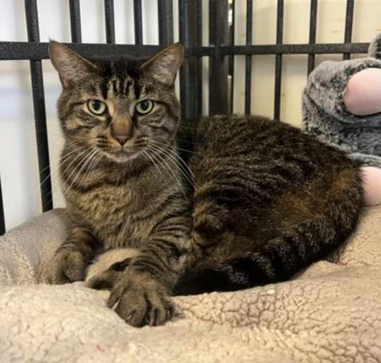 Photo of Thor