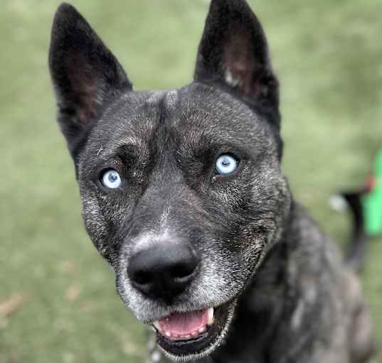 Photo of Klaus