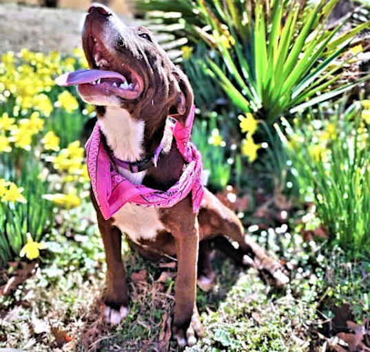 Photo of Whitney