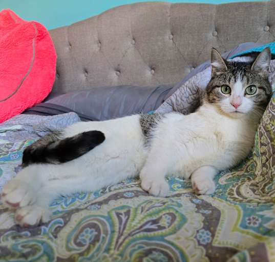 Photo of Yzma