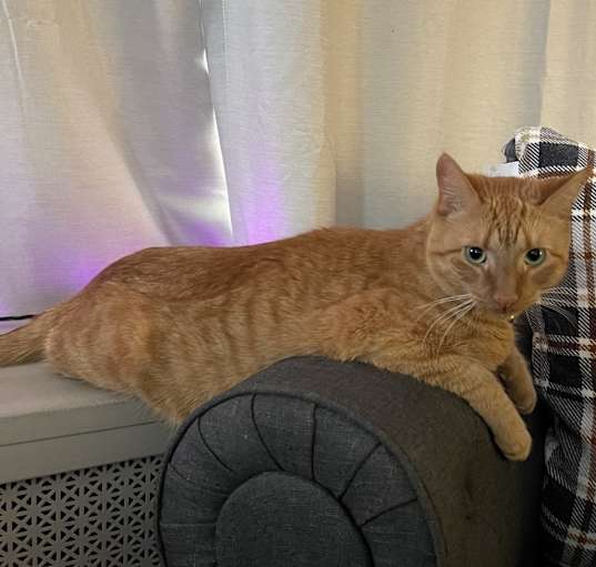Photo of Beamer