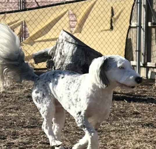 Photo of Bernie