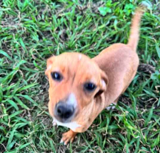 Photo of Chiquita