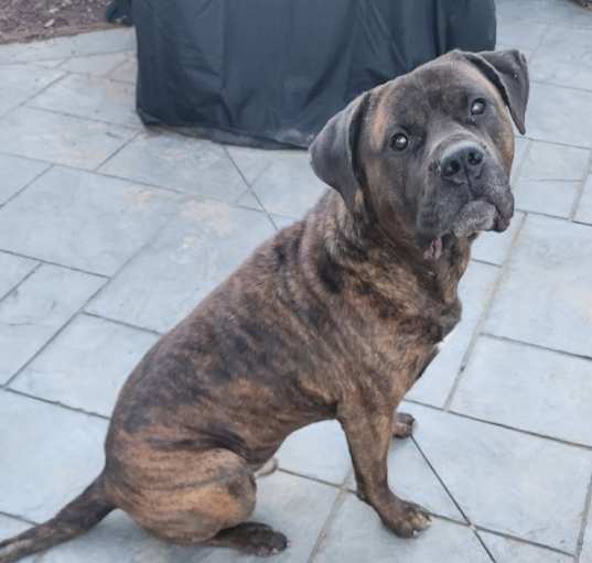 Photo of Jack