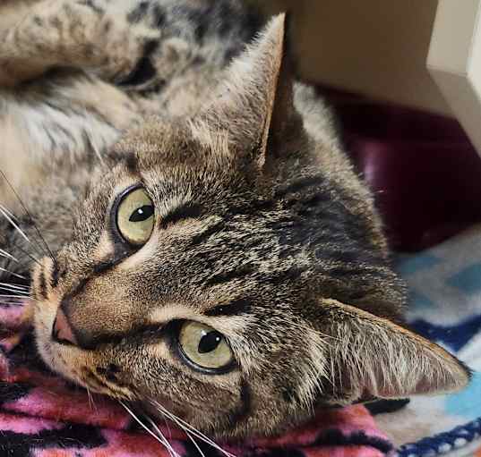 Photo of Missy