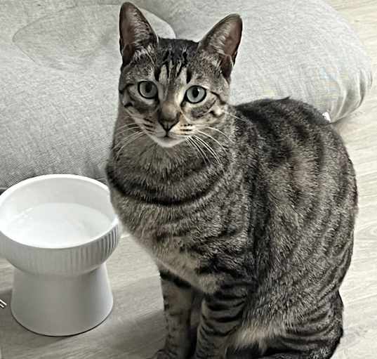 Photo of Halli