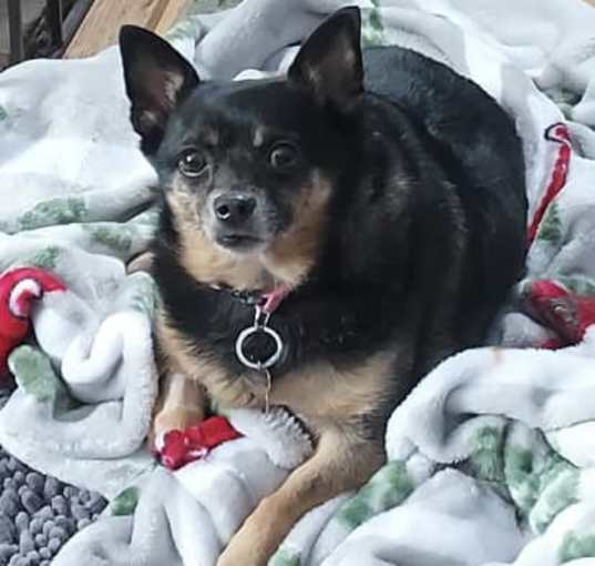 Photo of Sassy