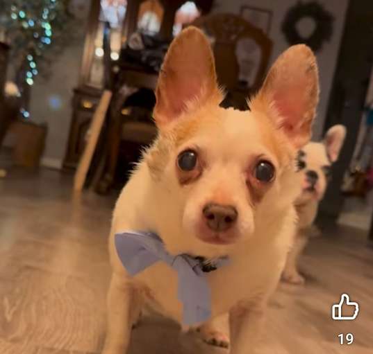 Photo of Harold