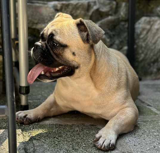 Photo of Mia