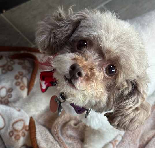 Photo of Emmy