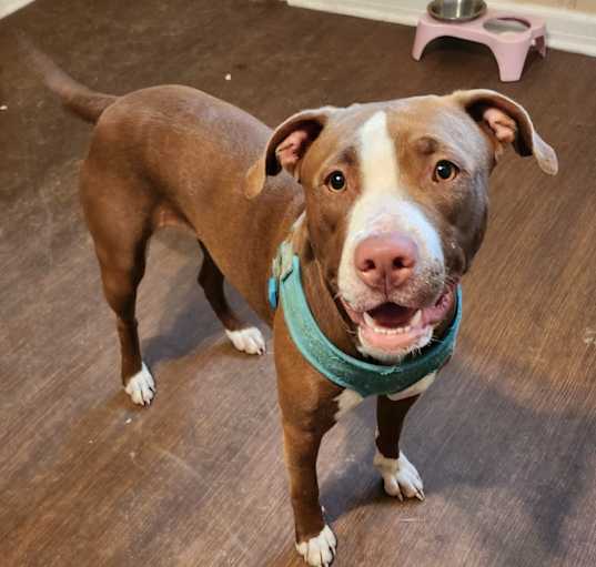 Photo of Rogue