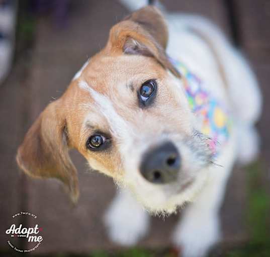 Photo of Peppermint Patty