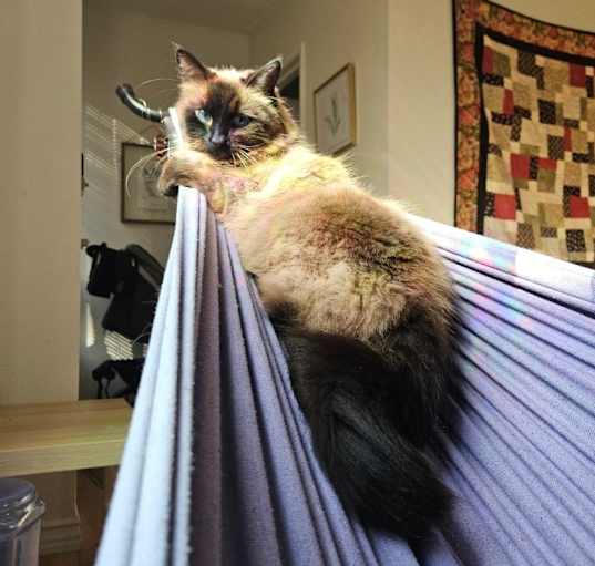 Photo of Sophie