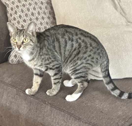 Photo of Millie