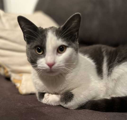 Photo of Cloud 2