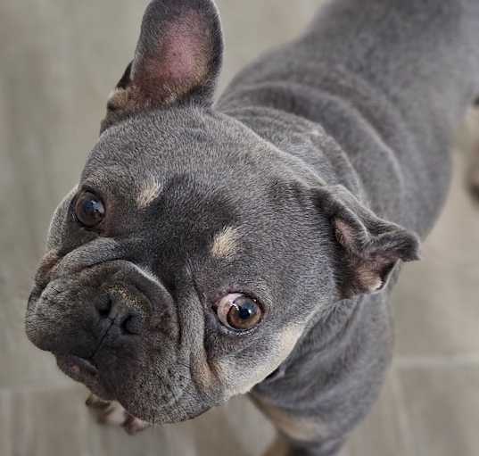 Photo of Holly