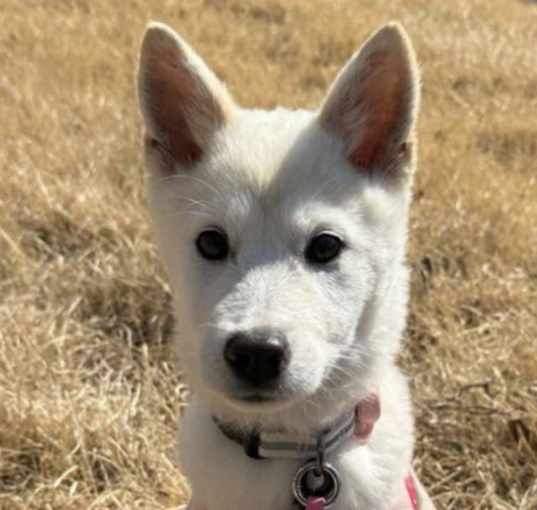 Photo of Dahee