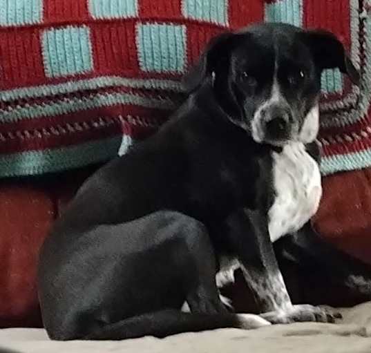 Photo of Luna faith