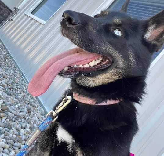 Photo of Nyx