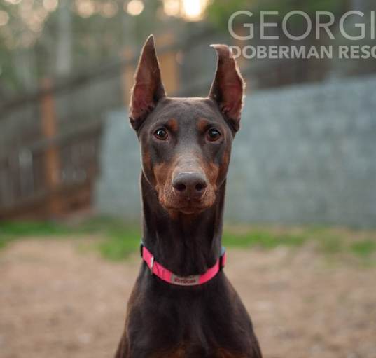 Photo of Xena
