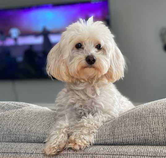 Photo of Cali