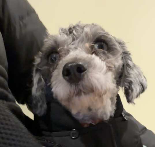 Photo of Stormy